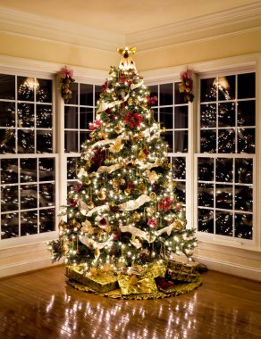 Beautiful xmas tree at night clipart