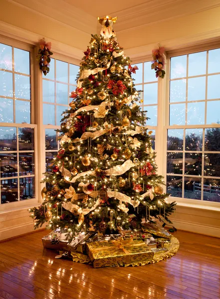 Hermoso árbol de Navidad al atardecer — Foto de Stock