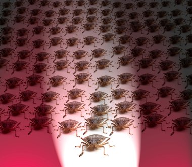 Army of Brown Stink Bugs clipart