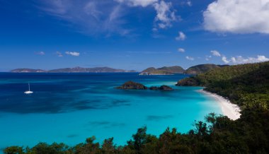 Trunk Bay on St John clipart