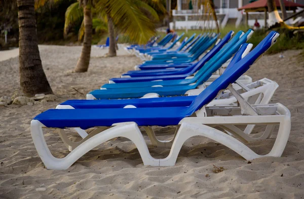 Row of loungers on beach — Stock Photo, Image