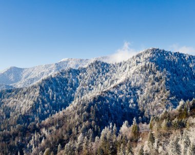 Mount leconte smokies karda