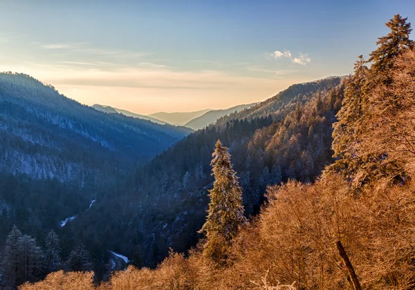 Neve árvores cobertas ao pôr do sol em Smoky Mountains — Fotografia de Stock