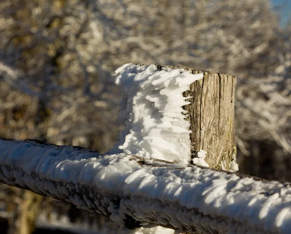 Gefrorener Schnee auf hölzernem Zaun — Stockfoto