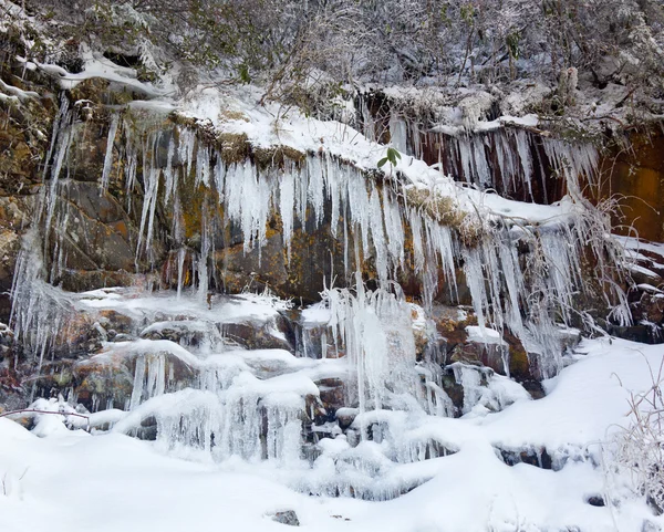 Weeping wall in Smoky Mountains covered in ice — Stock Photo, Image
