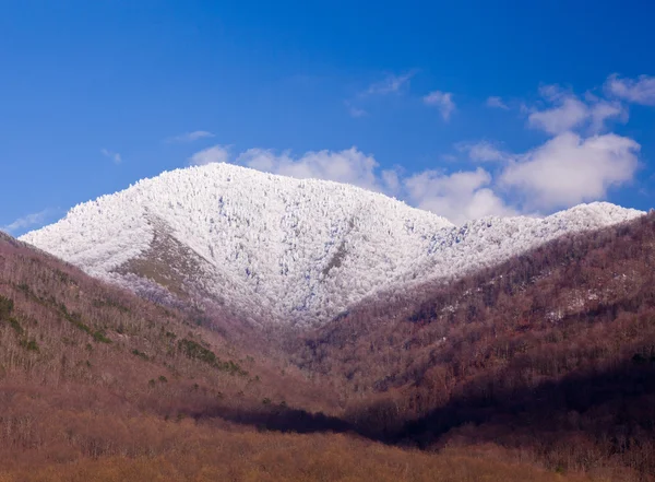 Mount leconte smokies karda — Stok fotoğraf