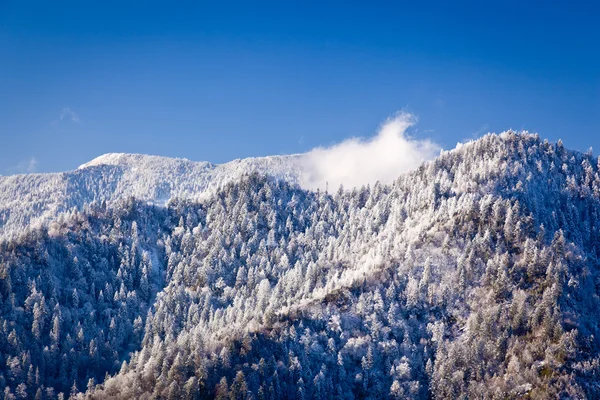 Monte leconte en la nieve en los ahumados — Foto de Stock