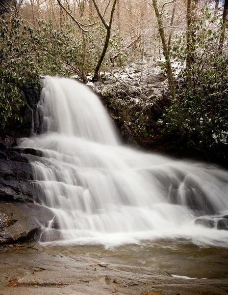 Laurel cai em Smoky Mountains na neve — Fotografia de Stock