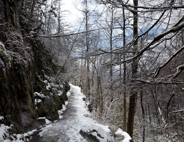 Snowy hike in Smoky Mountains — Stock Photo, Image