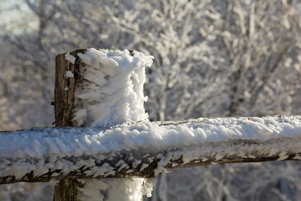 Zmrzlý sníh na dřevěné oplocení — Stock fotografie