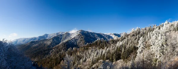 Mount leconte in snow in smokies — Stock Photo, Image