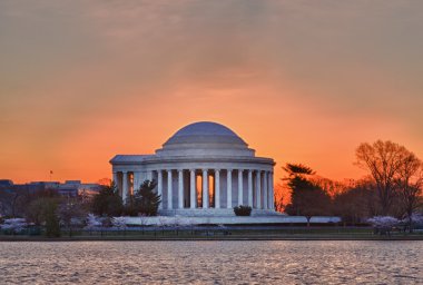 Cherry Blossom and Jefferson Memorial clipart