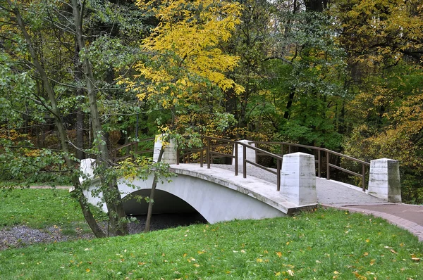 Autumn in the park — Stock Photo, Image