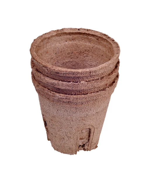 Peat pot for seedlings — Stock Photo, Image