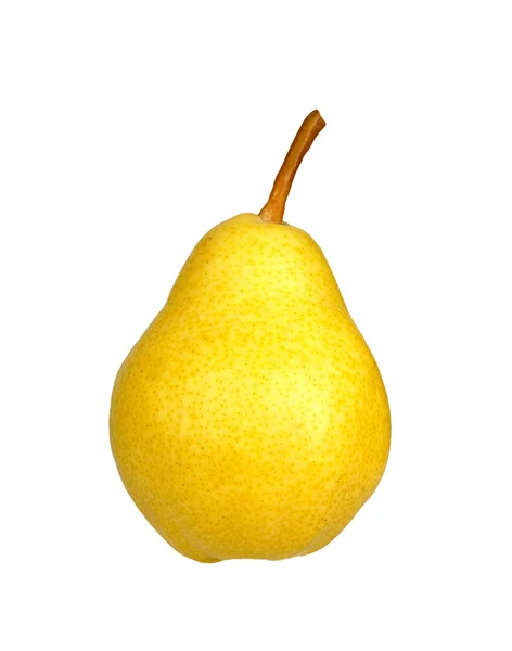Gele pear — Stockfoto