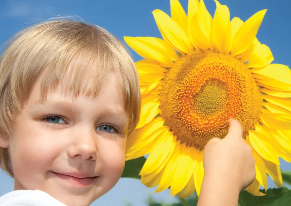 Beautiful little girl and sunflowers — Stock Photo, Image