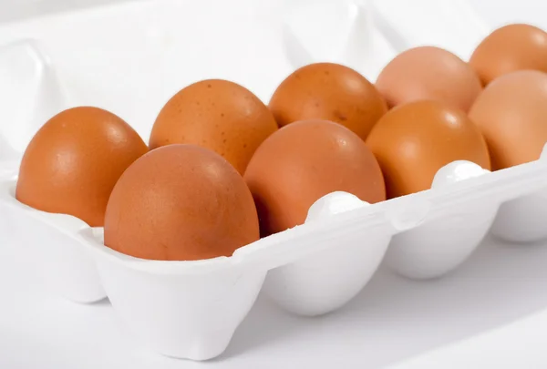 stock image Eggs