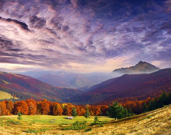 山の秋 — ストック写真
