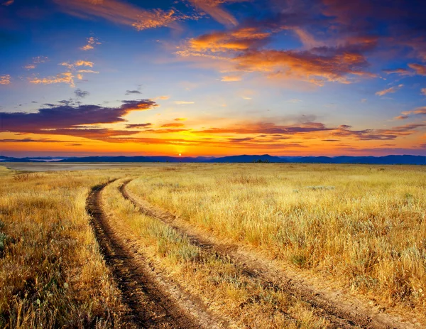朝の草原 — ストック写真