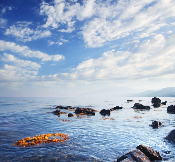 stock image Sea