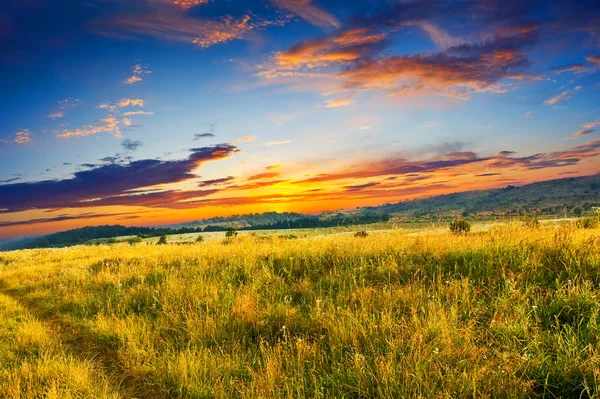 朝の草原 — ストック写真