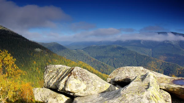 Górski Jesienny Krajobraz Kolorowym Lasem — Zdjęcie stockowe