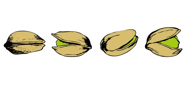 Set of pistachio — Stock Vector