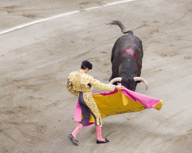 İspanya, bir boğa güreşi veya corrida tipik bir görüntü. hayvan hakları karşı kültürü ile oldukça tartışmalı