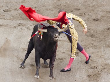 Bull and bullfighter clipart