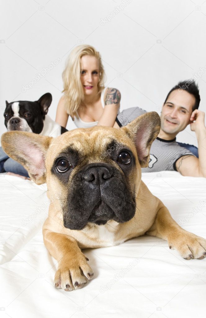 Young sexy man and a woman with two funny french bulldogs