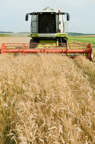 Комбайн на пшеничном поле — стоковое фото