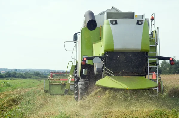 Working harvesting combine in field — Stock Photo, Image