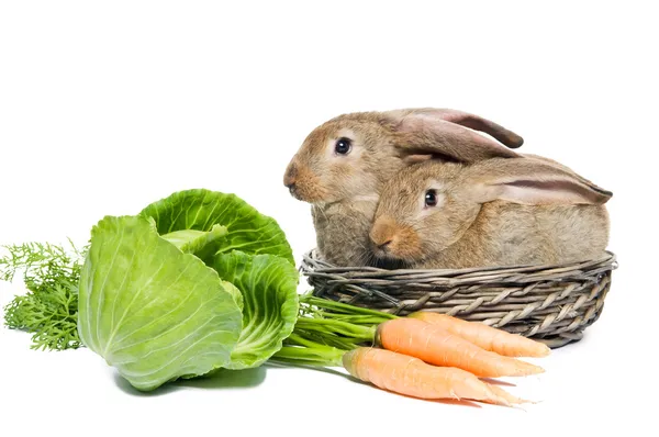 Two rabbits in a basket and vegetables — Stock Photo, Image