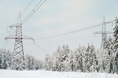 High-voltage electric lines laid on the snowy evergreen northern woods clipart