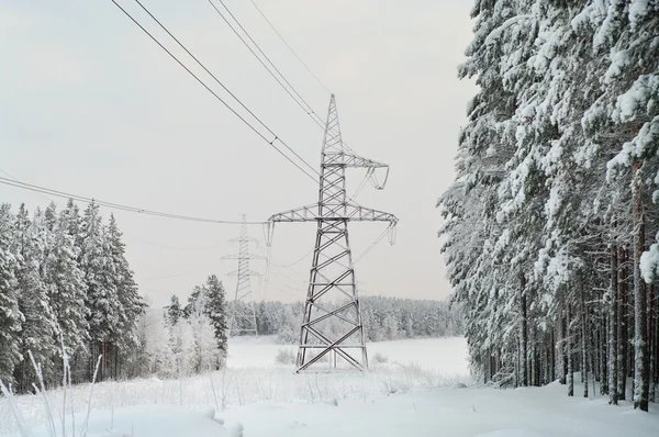高低压电力线路 — 图库照片