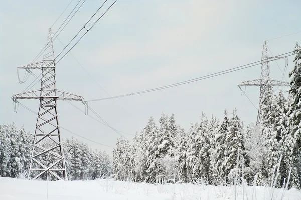 Ηλεκτρικών Γραμμών Υψηλής Τάσης Που Έβαζε Στο Χιονισμένο Δάσος Αειθαλής — Φωτογραφία Αρχείου