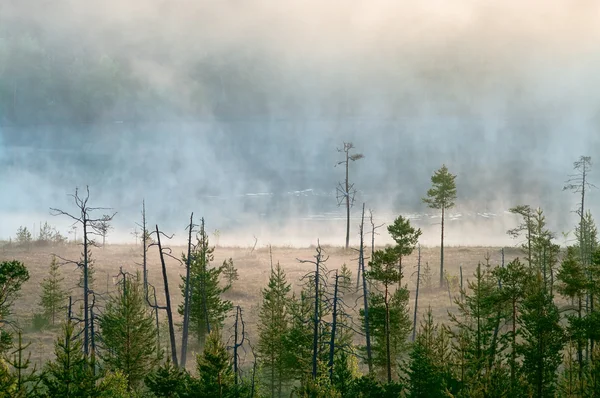 Wood lake with rising steam from a water table — Stock Photo, Image