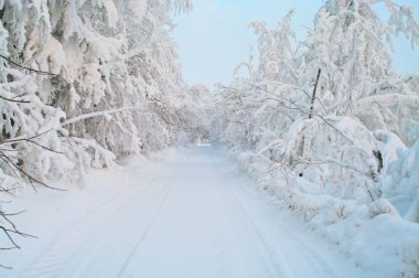 Snowy road with trees in the snow Karelia in winter season clipart