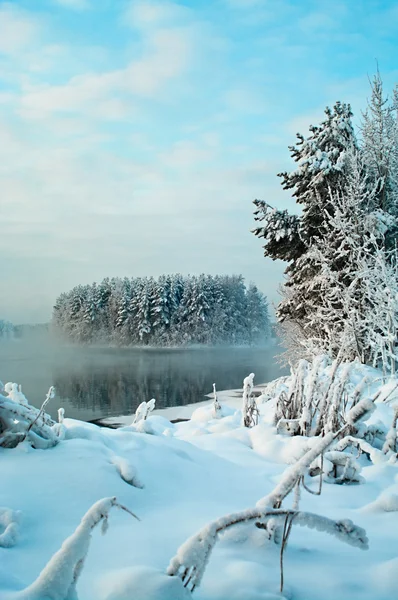 Frusen sjö i vintern — Stockfoto
