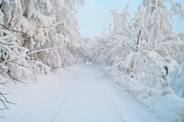 雪の木々 と雪に覆われた道路冬季のカレリア — ストック写真