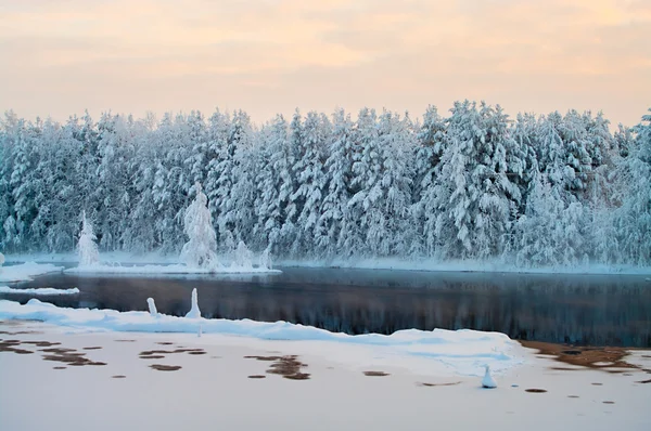 Lago Descongelado Los Bosques Invierno Karelia Rusia Agua Negra Brunches — Foto de Stock