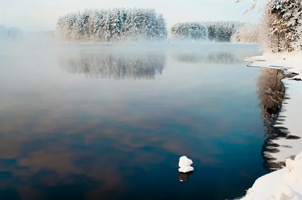 Незаморожене озеро в зимових лісах — стокове фото