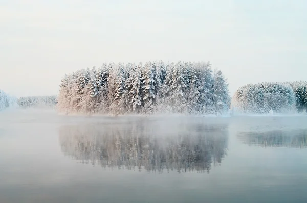 Размороженное Озеро Зимних Лесах Карелии Россия Черная Вода Снежные Завтраки — стоковое фото