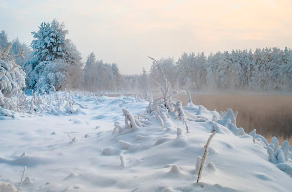 Lago Descongelado Los Bosques Invierno Karelia Rusia Agua Negra Brunches — Foto de Stock