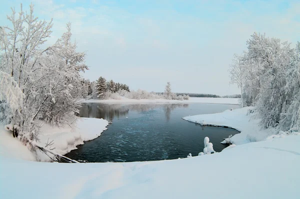 Nefixované Jezero Zimě Lesích Karelia Rusko Černá Voda Zasněžené Brunche — Stock fotografie