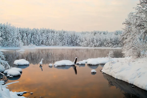 Jezioro odblokowane w lasach zima — Zdjęcie stockowe