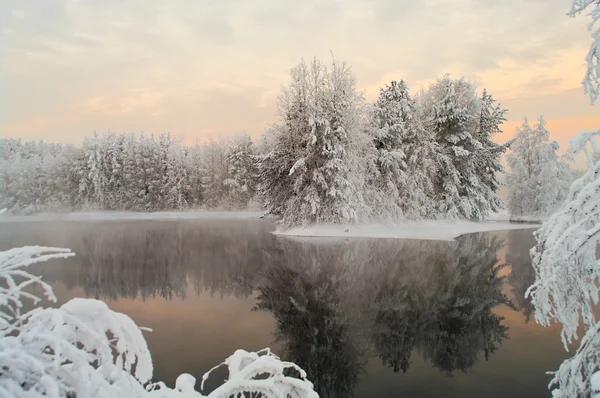 Lago descongelado en los bosques de invierno — Foto de Stock