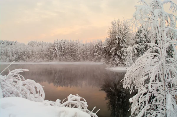 Незаморожене озеро в зимових лісах — стокове фото
