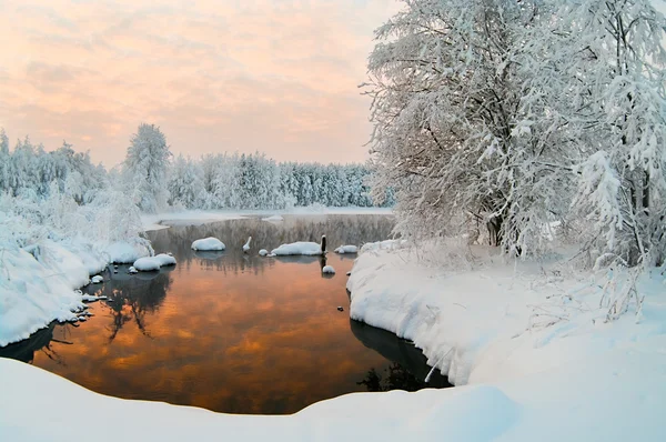 Frusen sjö i vinter skogarna — Stockfoto