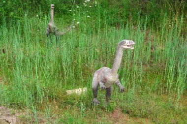 Dinozorlar raptors çimenlerin üzerinde